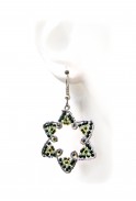 Six Point Star Earrings